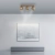 Lampa sufitowa z funkcją ściemniania PURE CUP 6227-97 - Paul Neuhaus