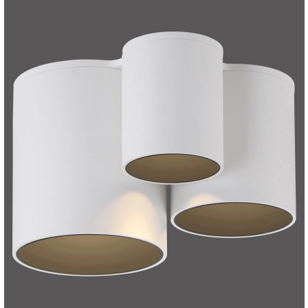 Lampa sufitowa punktowa współpracuje z ściemniaczem PURE POINT 6750-16 - Paul Neuhaus