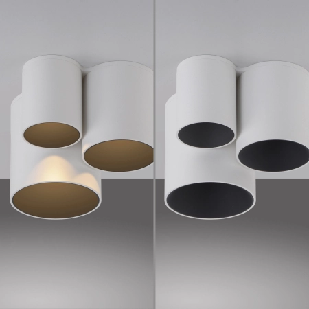 Lampa sufitowa punktowa współpracuje z ściemniaczem PURE POINT 6750-16 - Paul Neuhaus