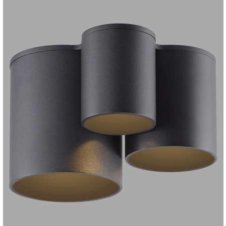 Lampa sufitowa punktowa współpracuje z ściemniaczem PURE POINT 6750-18 - Paul Neuhaus
