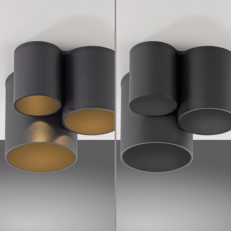 Lampa sufitowa punktowa współpracuje z ściemniaczem PURE POINT 6750-18 - Paul Neuhaus