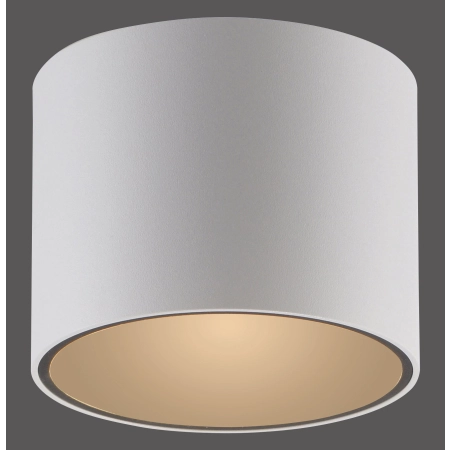 Lampa sufitowa biała z funkcją DIMM PURE POINT 6761-16 - Paul Neuhaus