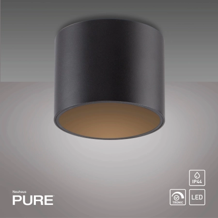 Lampa sufitowa czarna z funkcją DIM PURE POINT 6761-18 - Paul Neuhaus