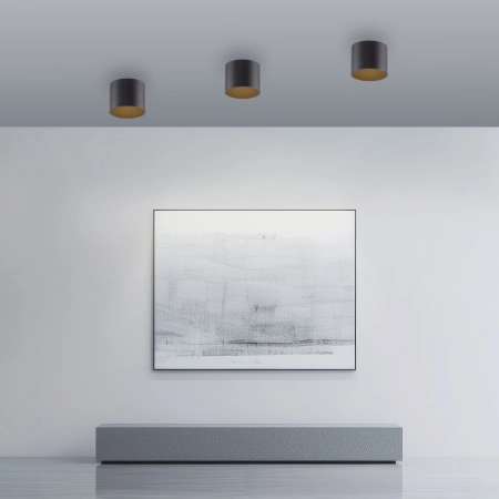 Lampa sufitowa czarna z funkcją DIM PURE POINT 6761-18 - Paul Neuhaus