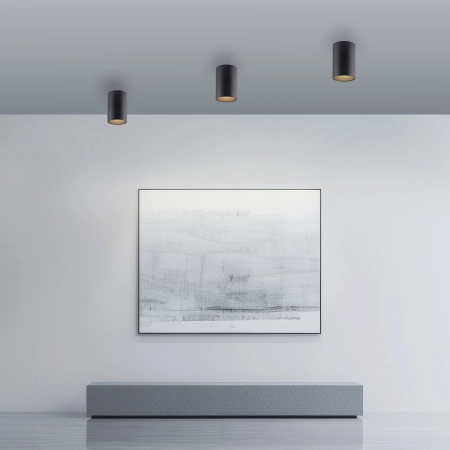 Lampa sufitowa czarna z funkcją DIM PURE POINT 6749-18 - Paul Neuhaus