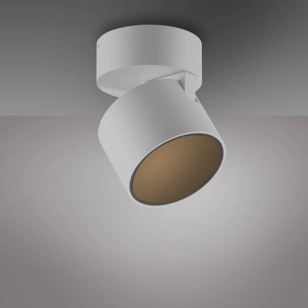 Lampa sufitowa punktowa biała DIMM PURE CUP 6226-16 - Paul Neuhaus