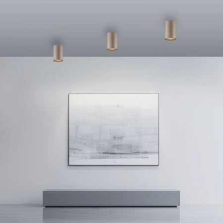 Lampa sufitowa brązowa DIMM PURE POINT 6749-97 - Paul Neuhaus