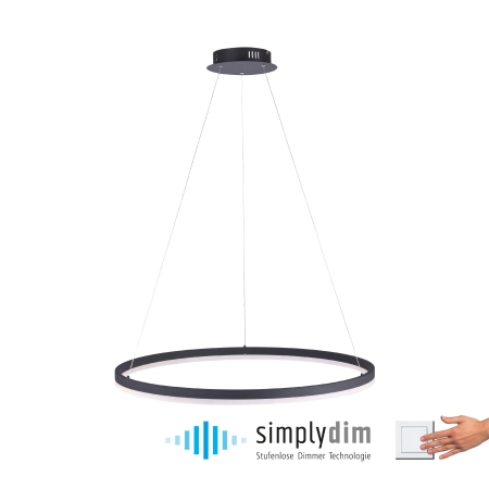 Lampa wisząca TITUS 80 antracyt 2383-13 - Paul Neuhaus