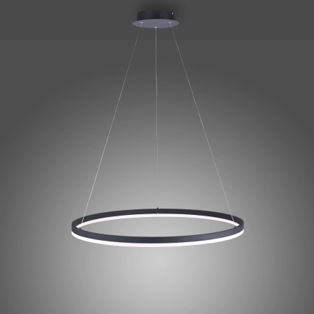 Lampa wisząca TITUS 80 antracyt 2383-13 - Paul Neuhaus