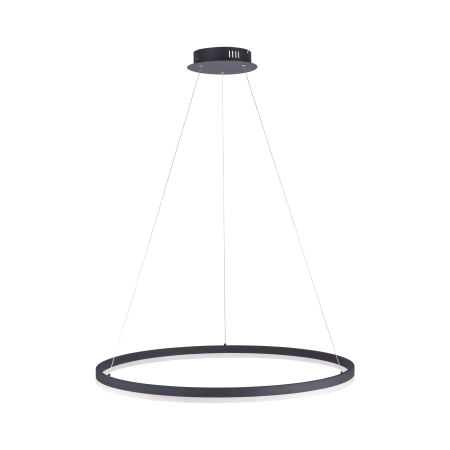 Lampa wisząca TITUS 80 antracyt 2383-13 - Paul Neuhaus