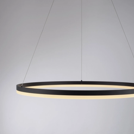 Lampa wisząca TITUS 80 antracyt 2383-13 - Paul Neuhaus