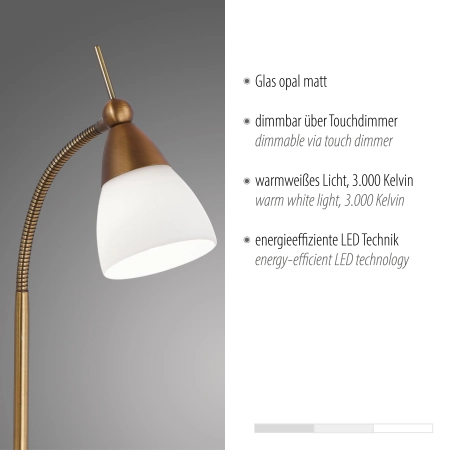 Lampa stołowa PINO 4001-11 - Paul Neuhaus