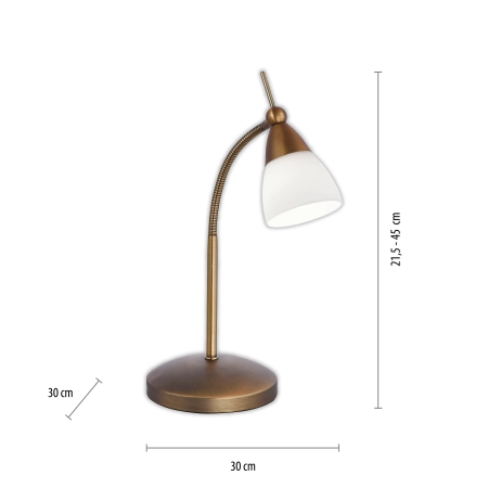 Lampa stołowa PINO 4001-11 - Paul Neuhaus