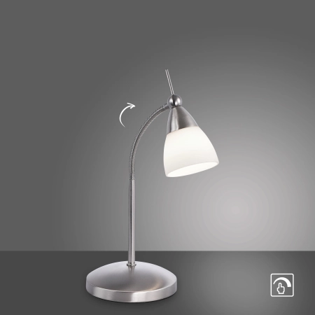 Lampa stołowa PINO 4001-55 - Paul Neuhaus
