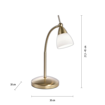 Lampa stołowa PINO 4001-60 - Paul Neuhaus