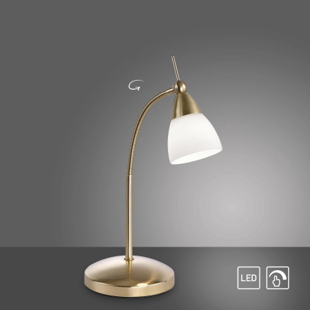 Lampa stołowa PINO 4001-60 - Paul Neuhaus