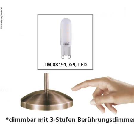 Lampa stołowa PINO 4001-60 - Paul Neuhaus