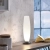 Lampa stołowa TYRA 4027-55 - Paul Neuhaus