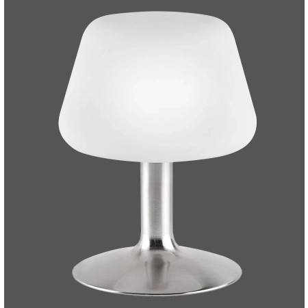Lampa stołowa TILL 4078-55 - Paul Neuhaus