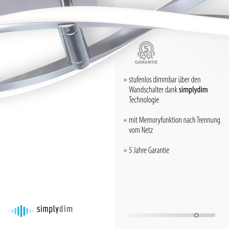 Lampa sufitowa POLINA 9143-55 - Paul Neuhaus