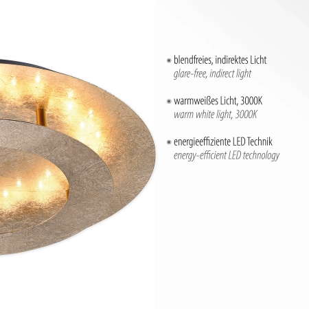 Lampa sufitowa NEVIS 9620-12 - Paul Neuhaus