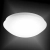 Lampa sufitowa ANDREA-LED 14243-16 - Paul Neuhaus