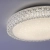 Lampa sufitowa FRIDA 14371-00 - Paul Neuhaus