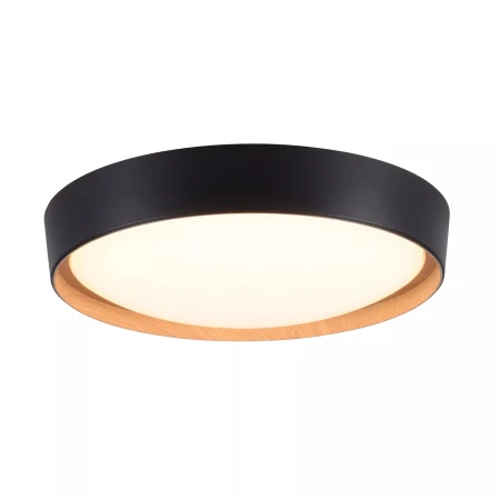Lampa sufitowa EMILIA 14347-18 - Paul Neuhaus