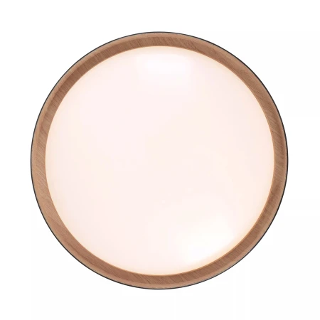Lampa sufitowa EMILIA 14347-18 - Paul Neuhaus