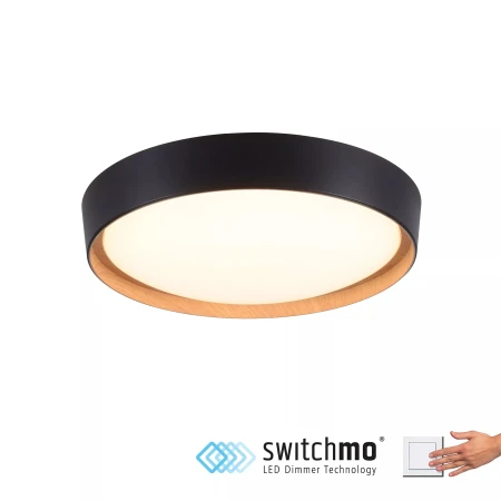 Lampa sufitowa EMILIA 14347-18 - Paul Neuhaus
