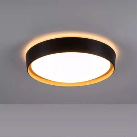 Lampa sufitowa EMILIA 14347-18 - Paul Neuhaus