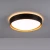 Lampa sufitowa EMILIA 14347-18 - Paul Neuhaus