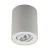 Oprawa sufitowa RONDOC H-20038-WH - Zuma Line