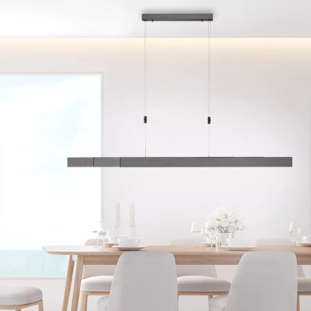 Lampa wisząca PURE-MOTO 2525-15 - Paul Neuhaus