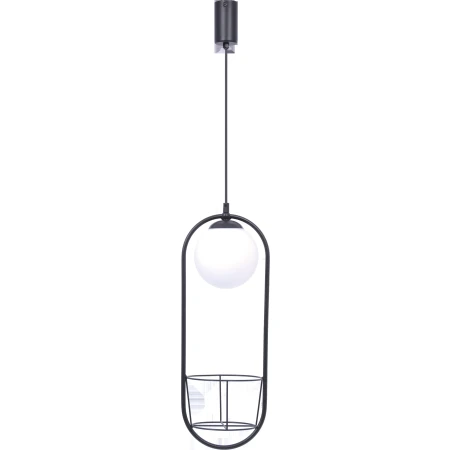 Lampa wisząca PLANT 1 5003 - Zuma Line