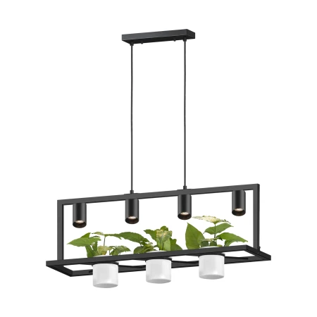 Lampa wisząca PLANTER P0536-04B-P7AB - Zuma Line