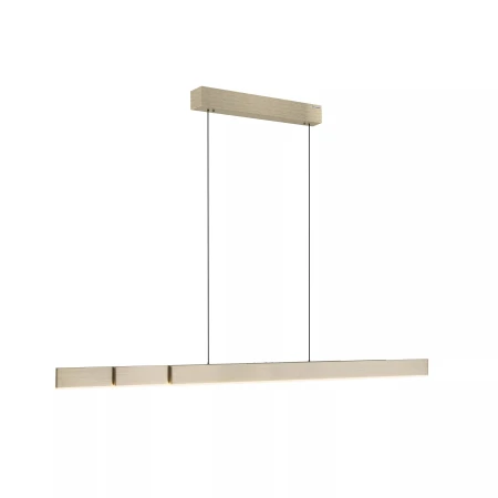 Lampa wisząca PURE-MOTO-RISE 2545-60 - Paul Neuhaus