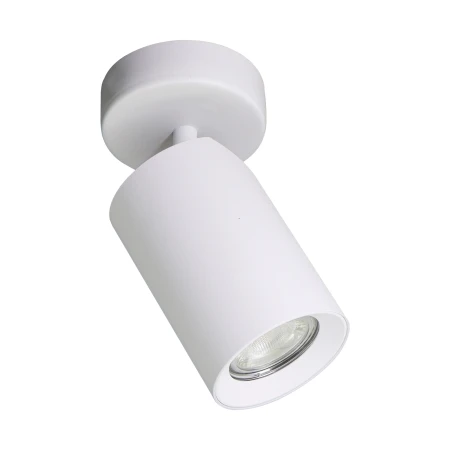 Lampa sufitowa TORE BIAŁA/WHITE TLS006-WH - Zuma Line