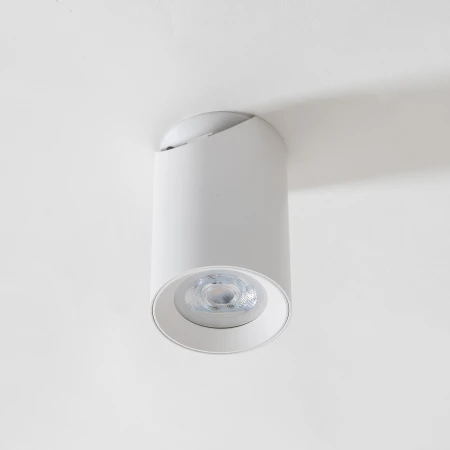 Lampa sufitowa TORE BIAŁA/WHITE TLS006-WH - Zuma Line