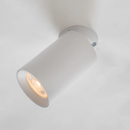 Lampa sufitowa TORE BIAŁA/WHITE TLS006-WH - Zuma Line