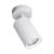 Lampa sufitowa TORE BIAŁA/WHITE TLS006-WH - Zuma Line