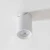 Lampa sufitowa TORE BIAŁA/WHITE TLS006-WH - Zuma Line