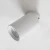 Lampa sufitowa TORE BIAŁA/WHITE TLS006-WH - Zuma Line