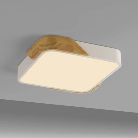 Lampa sufitowa BILA 14289-16 - Paul Neuhaus