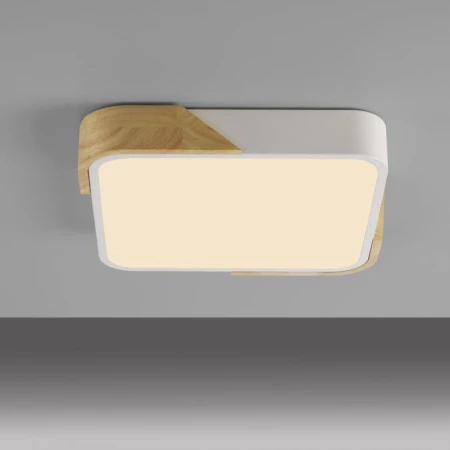 Lampa sufitowa BILA 14289-16 - Paul Neuhaus