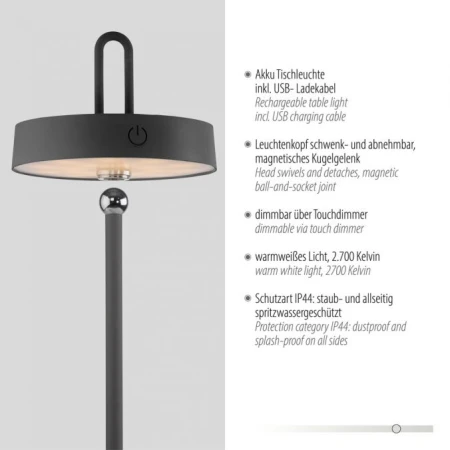 Lampa stołowa AMAG 19310-18 - Paul Neuhaus