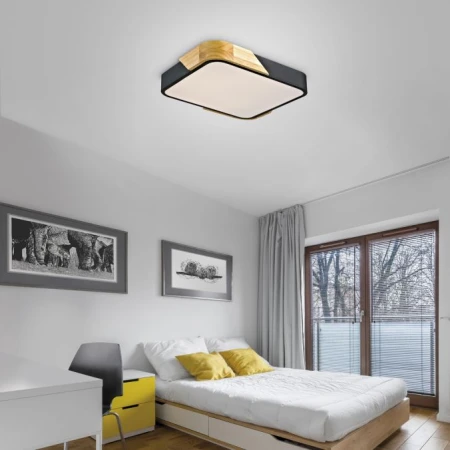 Lampa sufitowa BILA 14289-18 - Paul Neuhaus