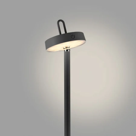 Lampa podłogowa AMAG 19311-18 - Paul Neuhaus