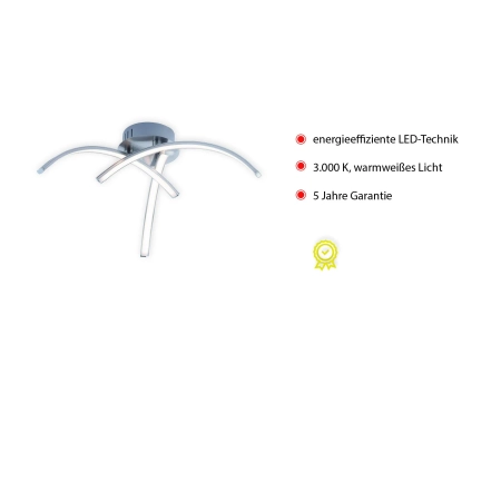 Lampa sufitowa VALERIE 15341-55 - Paul Neuhaus