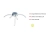 Lampa sufitowa VALERIE 15341-55 - Paul Neuhaus